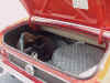 73_Mustang_Trunk.jpg (60596 bytes)